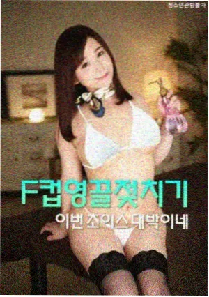 小姐韩国悬疑电影海报